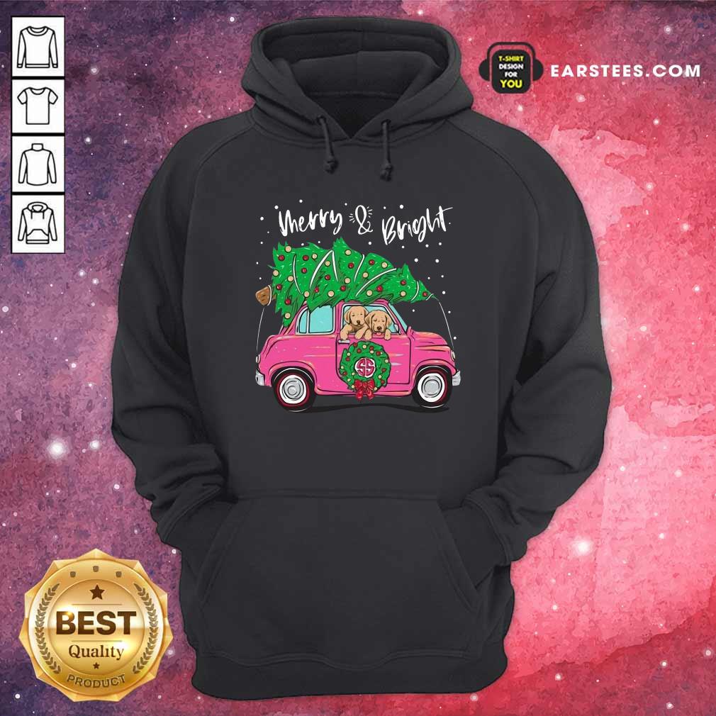 Hot Merry And Bright Pitbull Dog Ugly Christmas Shirt