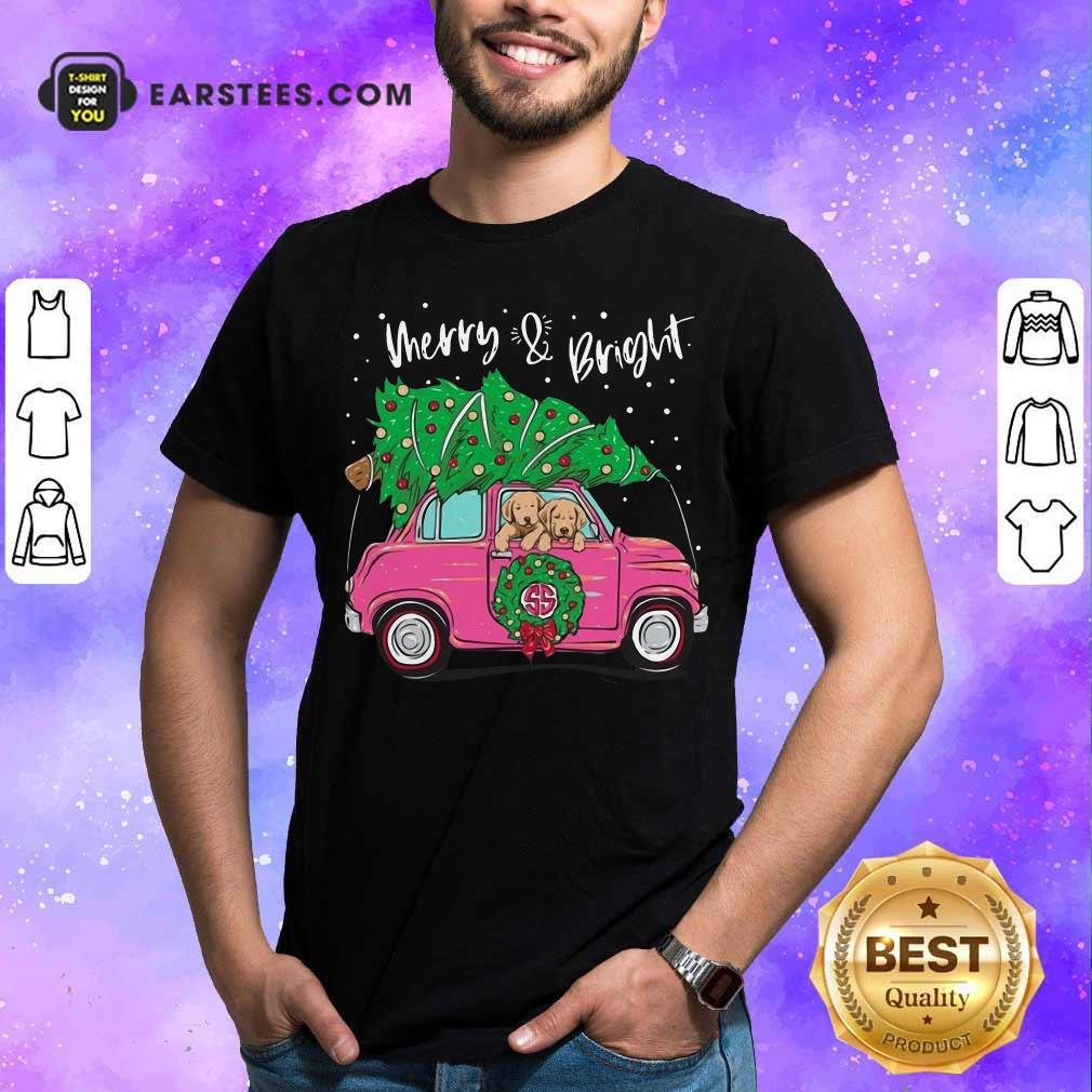 Hot Merry And Bright Pitbull Dog Ugly Christmas Shirt