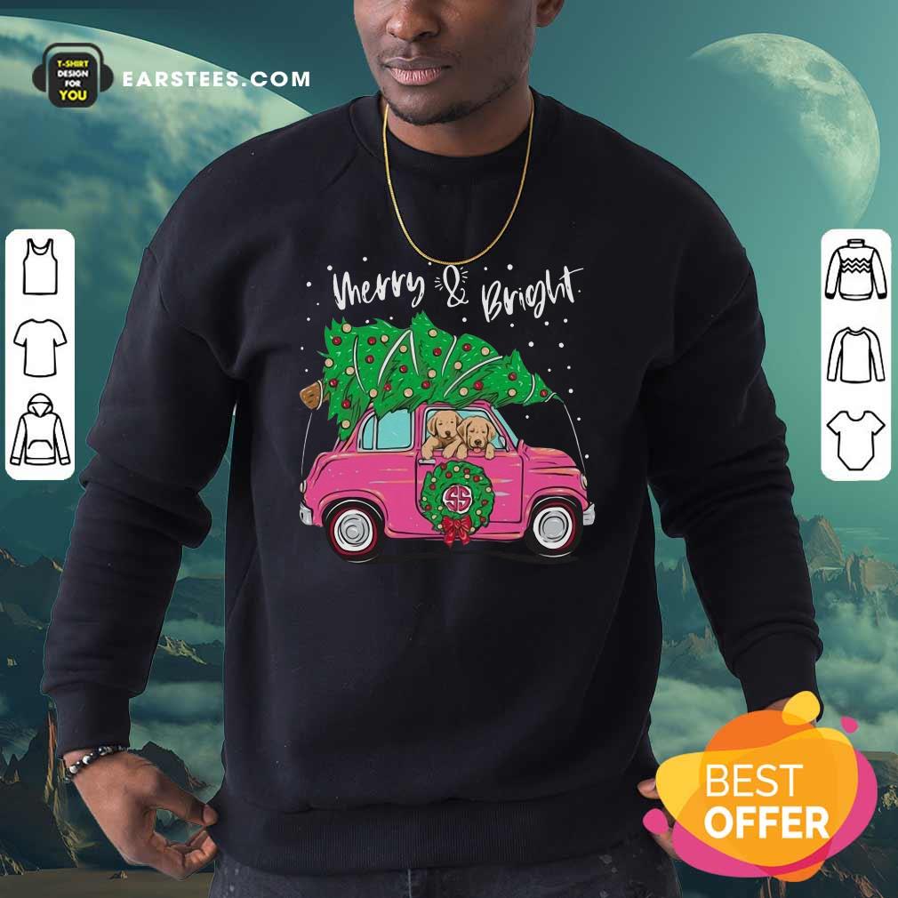 Hot Merry And Bright Pitbull Dog Ugly Christmas Shirt