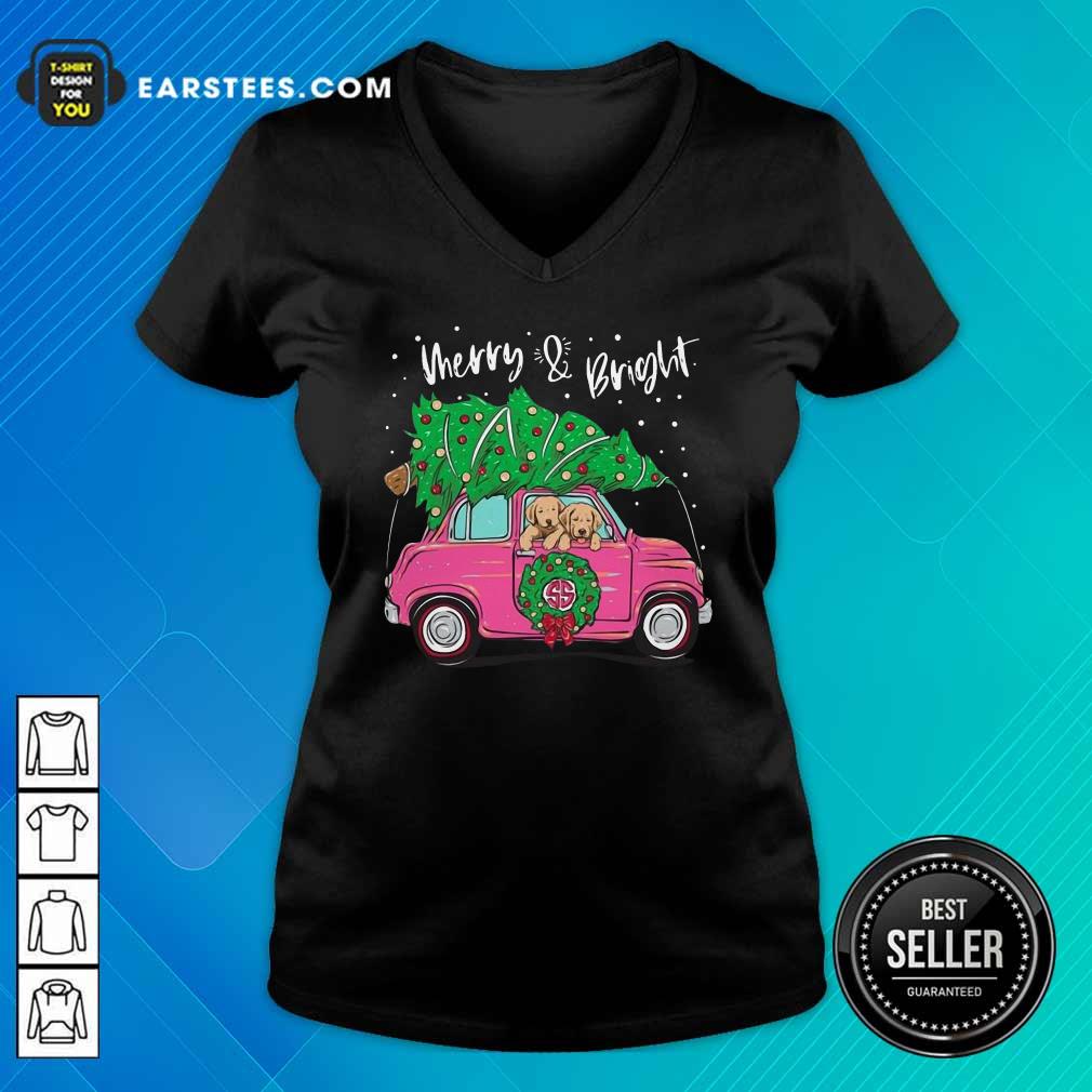Hot Merry And Bright Pitbull Dog Ugly Christmas Shirt