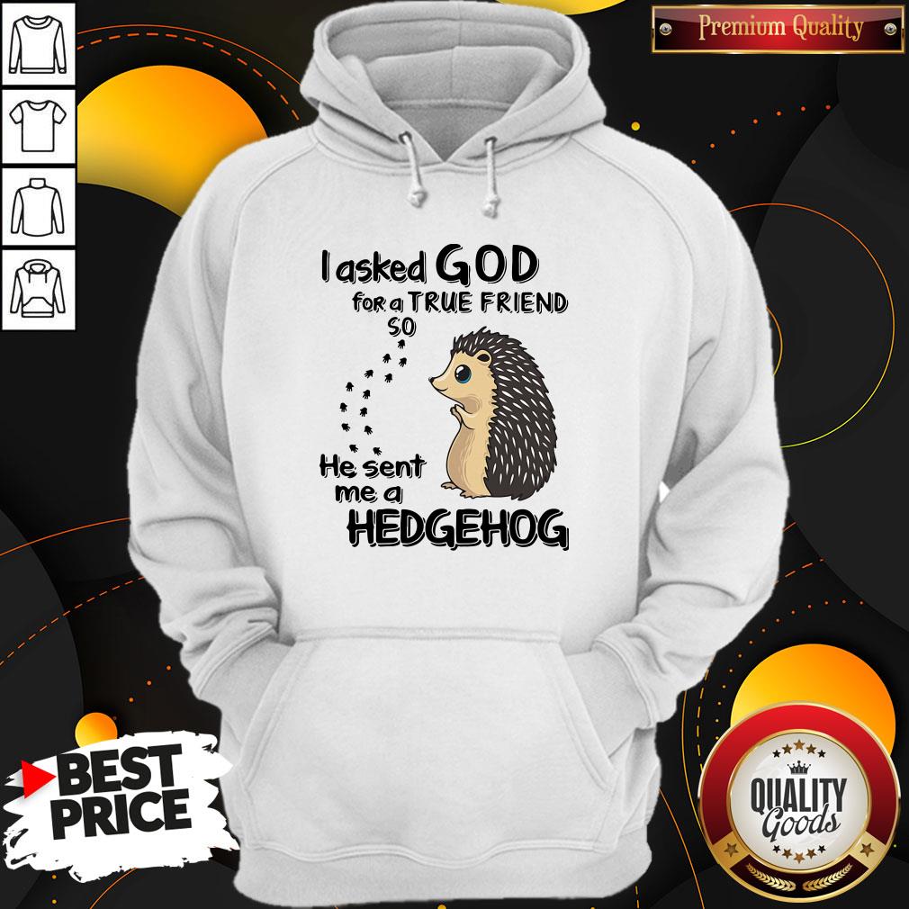 I Asked God For A True Friend So He Sent Me A Hedgehog Shirt