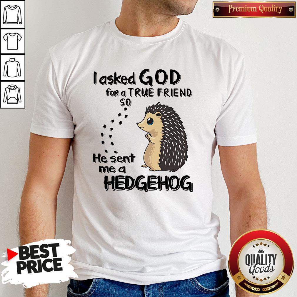 I Asked God For A True Friend So He Sent Me A Hedgehog Shirt