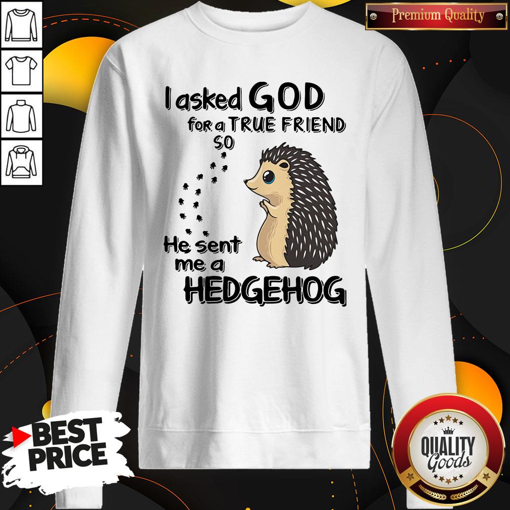 I Asked God For A True Friend So He Sent Me A Hedgehog Shirt