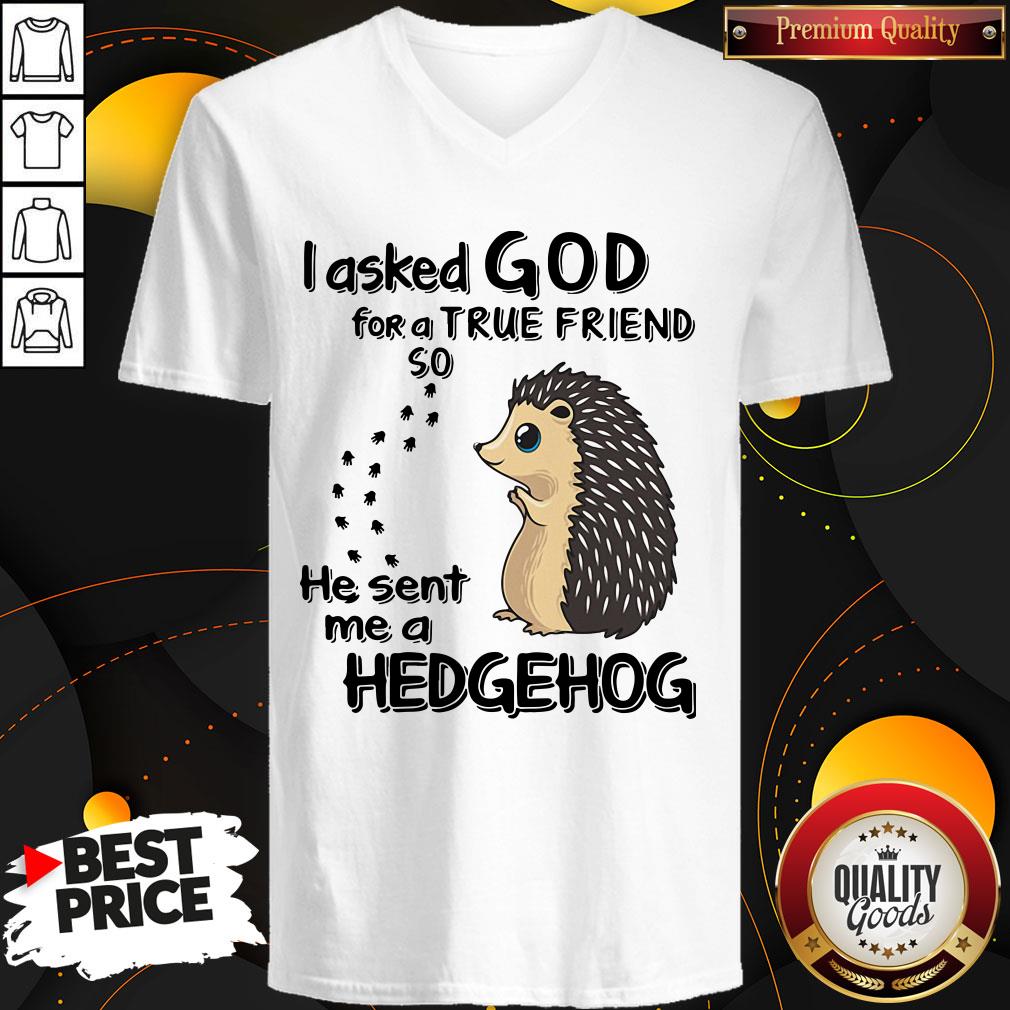 I Asked God For A True Friend So He Sent Me A Hedgehog Shirt