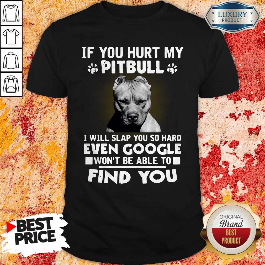 if-you-hurt-my-pitbull-i-will-slap-you-so-hard-even-google-wont-be-able-to-find-you-shirt.jpg