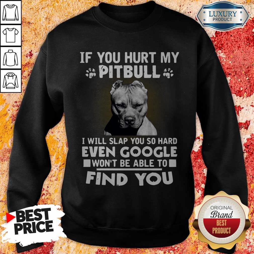 if-you-hurt-my-pitbull-i-will-slap-you-so-hard-even-google-wont-be-able-to-find-you-sweatshirt.jpg