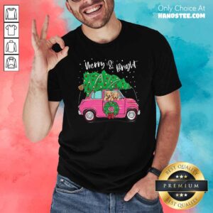 Nice Merry And Bright Pitbull Dog Ugly Christmas Shirt