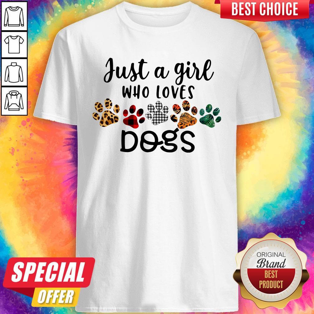 Nice Just A Girl Who Loves Dogs Shirt