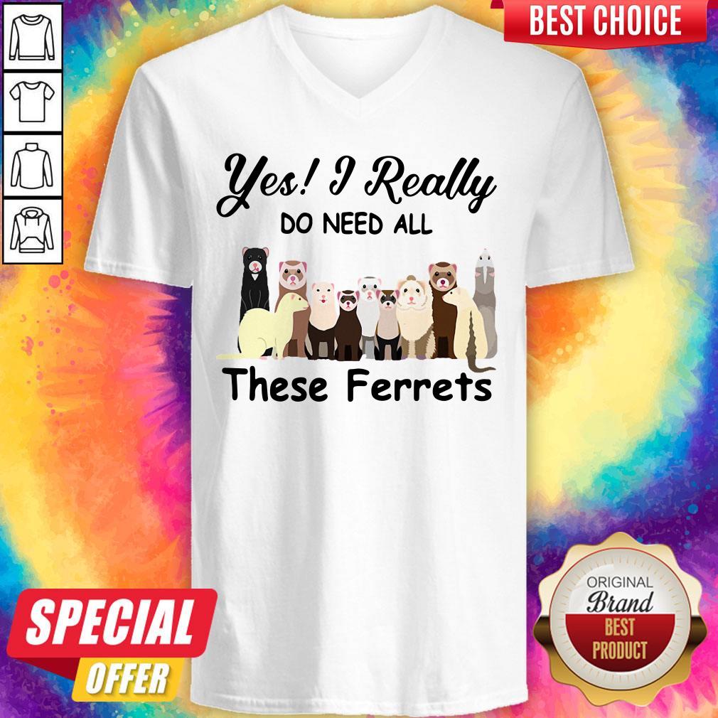 Nice Yes I Really Do Need All These Ferrets Shirt