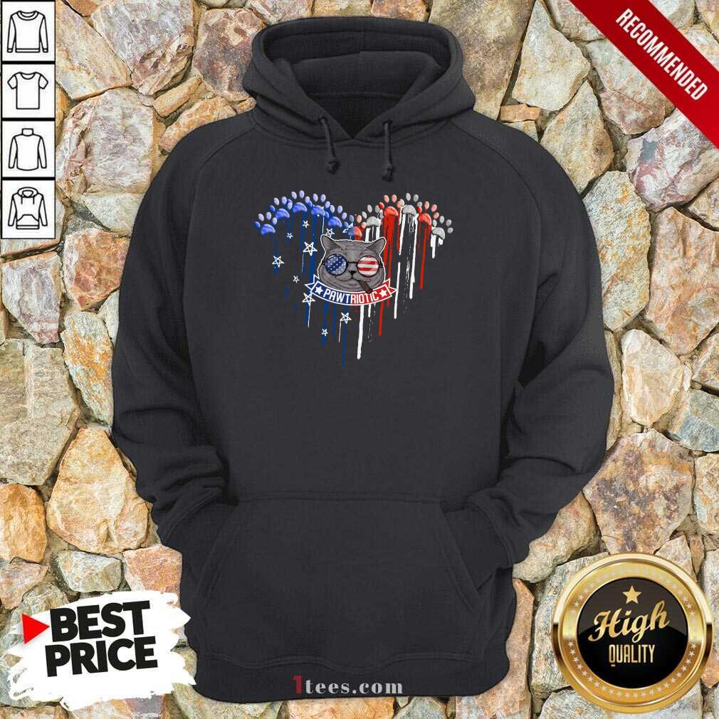 Paw Triotic 4th July USA Flag Sunglasses Cat Shirt