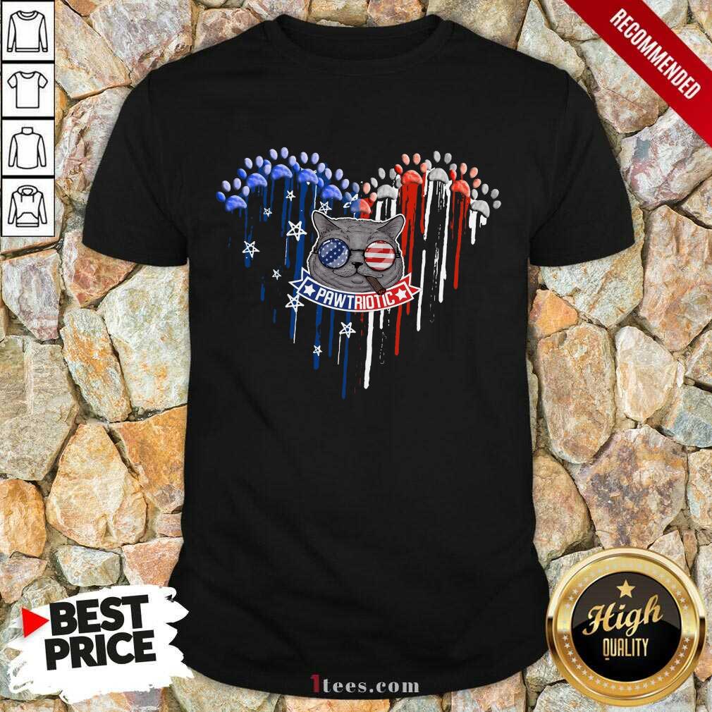 Paw Triotic 4th July USA Flag Sunglasses Cat Shirt