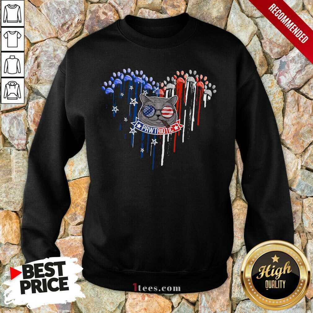 Paw Triotic 4th July USA Flag Sunglasses Cat Shirt