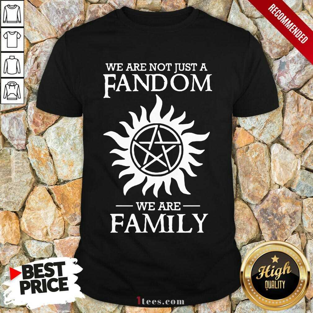 Perfect Supernatural We Are Not Just A Fandom We Are Family Shirt