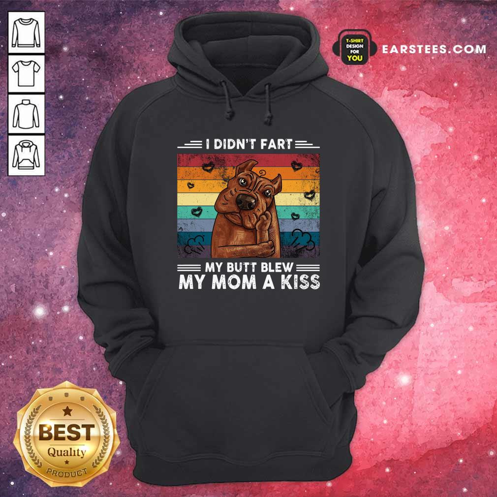 Premium I Didn’t Fart My Butt Blew My Mom A Kiss Vintage Retro Shirt