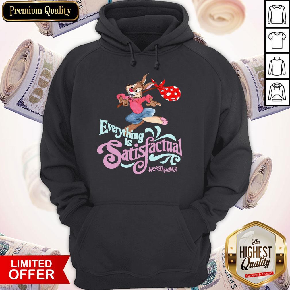 Pretty Brer Everything Is Satisfactual Splash Mountain Shirt