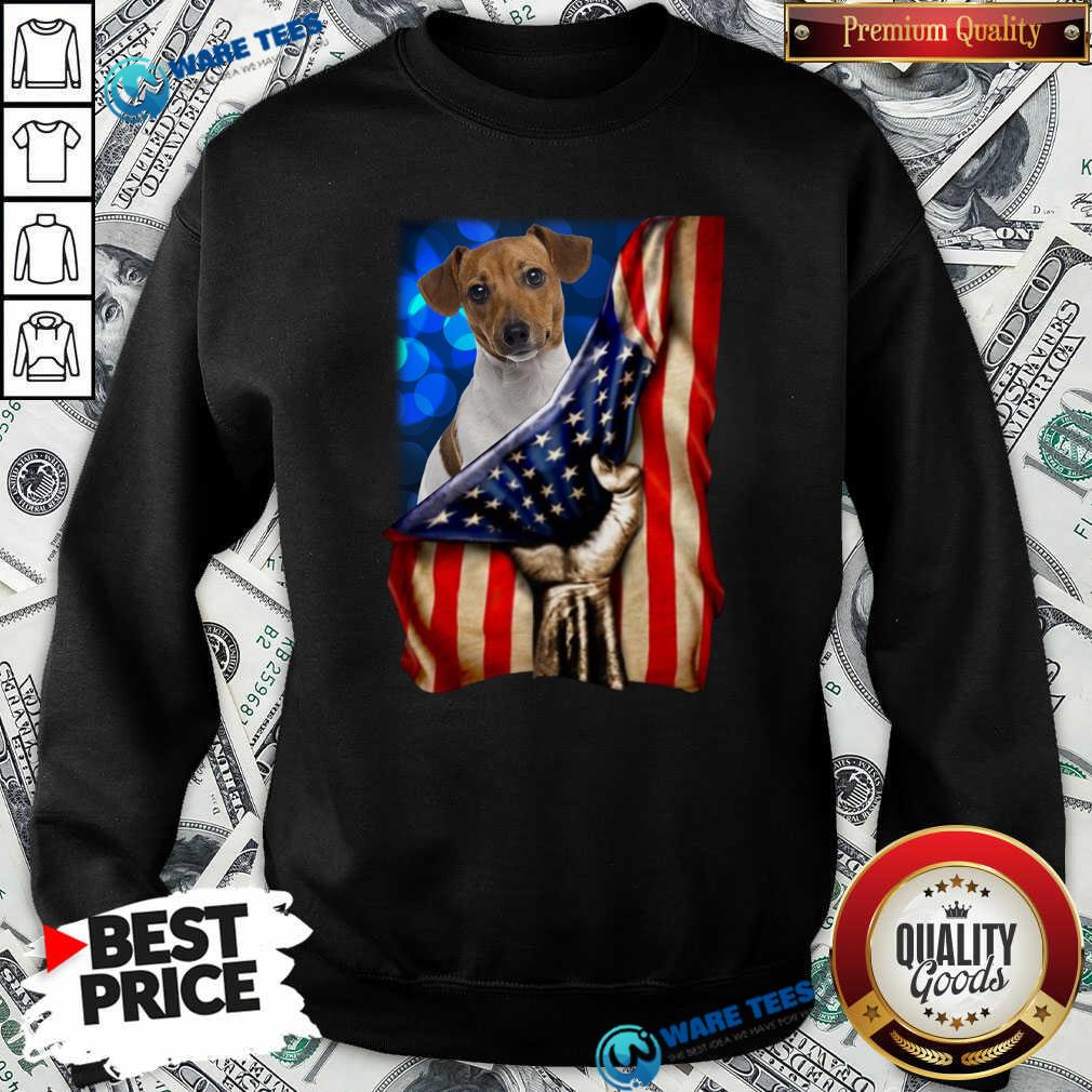 Pretty Jack Russell Terrier America 4th Of July Independence Day Shirt