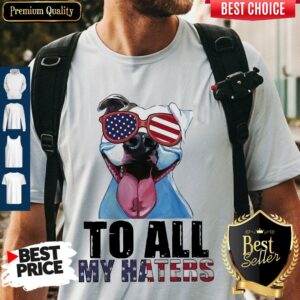 Awesome To My Haters Pitbull American Flag Shirt