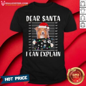 Nice Rough Collie Dear Santa I Can Explain Christmas Sweater Shirt