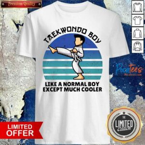 Perfect Vintage Taekwondo Boy Like A Normal Boy Except Much Cooler Shirt