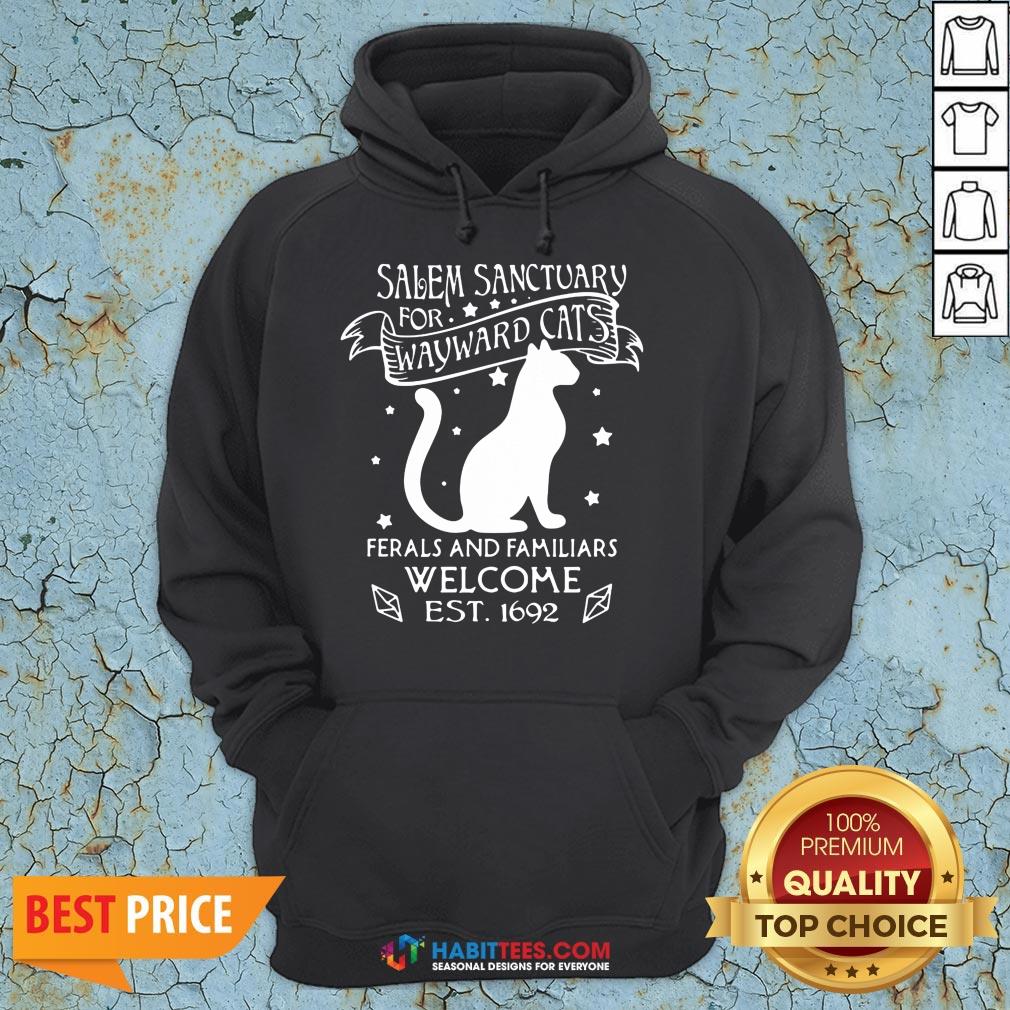 vip-nice-cat-salem-sanctuary-for-wayward-cats-ferals-and-familiars-welcome-est-1692-hoodie.jpg