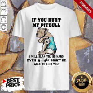 If You Hurt My Pitbull I Will Slap You So Hard Even Google Won't Be Able To Find You Heart Shirt