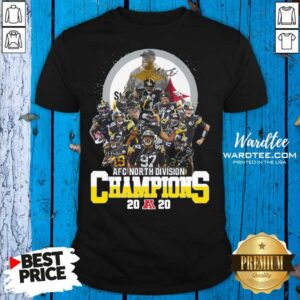 Funny Pittsburgh Steelers 2020 Afc North Division Champions Signatures 2020 Shirt