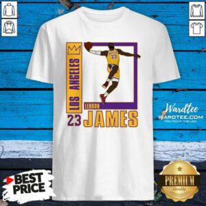 Nice Los Angeles Lakers Lebron James 23 Shirt