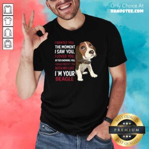 Top Beagle Wanted I Wanted You The Moment I Saw You I Loved You After Knowing You Shirt