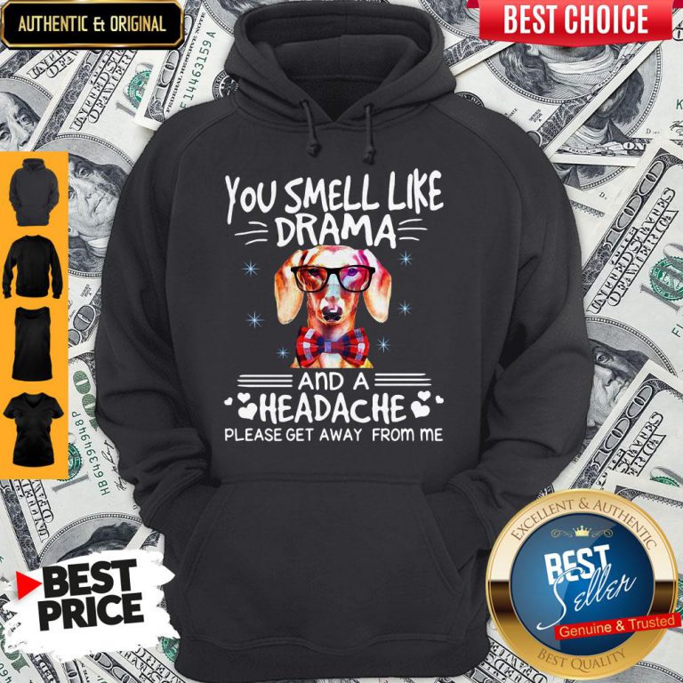 you-smell-like-drama-dog-and-a-headache-please-get-away-from-me-hoodie-768x768