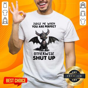 Stressed Judge Me When You Are Perfect Otherwise 13 Shut Up Dragon Shirt