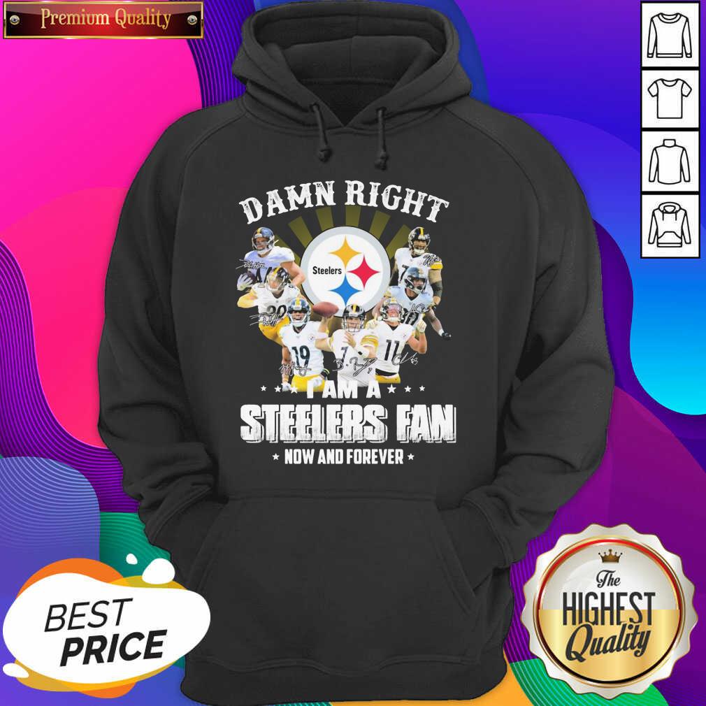 top-so-damn-right-i-am-a-pittsburgh-steelers-fan-now-and-forever-signature-hoodie.jpg