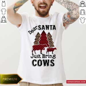 Top Dear Santa Just Bring Cows Shirt