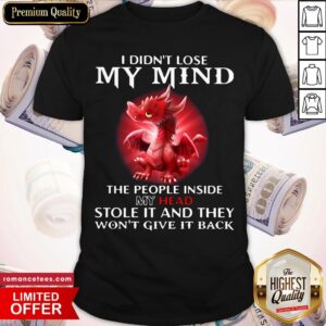Top Dragon I Didn’t Lose My Mind The People Inside My Head Stole It And They Won’t Give It Back Shirt