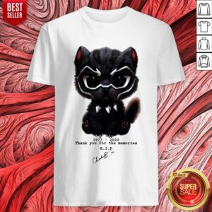 Black Pather Chadwick Boseman Thank You For The Memories Shirt