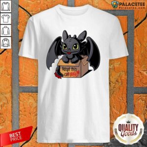 Nice Adopt This Dragon Shirt