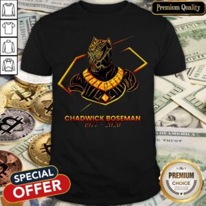 Hot Rip Chadwick Boseman Shirt