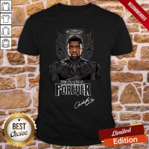 The Hero Of Wakanda Black Panther Shirt