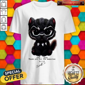 Black Panther Tribute RIP Chadwick Boseman Shirt