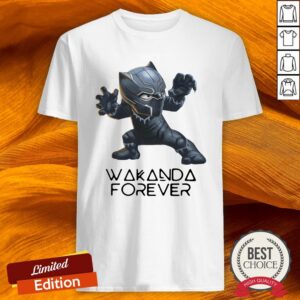 RIP Black Panther's Wakanda Forever Chadwick Boseman 1977 2020 T-Shirt