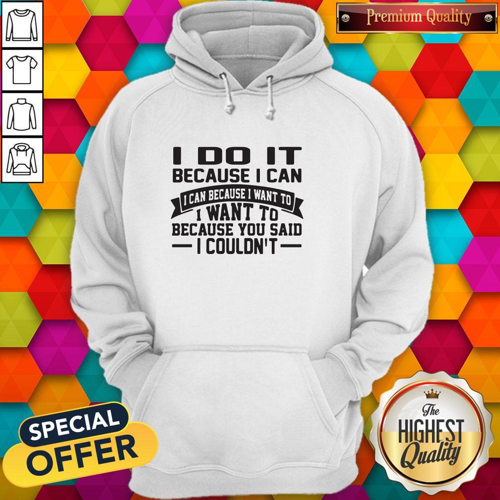 nice-i-do-it-because-i-can-i-can-because-i-want-to-i-want-to-because-you-said-i-couldnt-hoodie.jpg