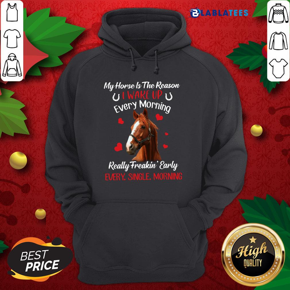 official-my-horse-is-the-reason-i-wake-up-every-morning-every-single-morning-hoodie.jpg