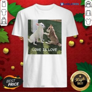 Premium Bryson And Balto Love Is Love Shirt