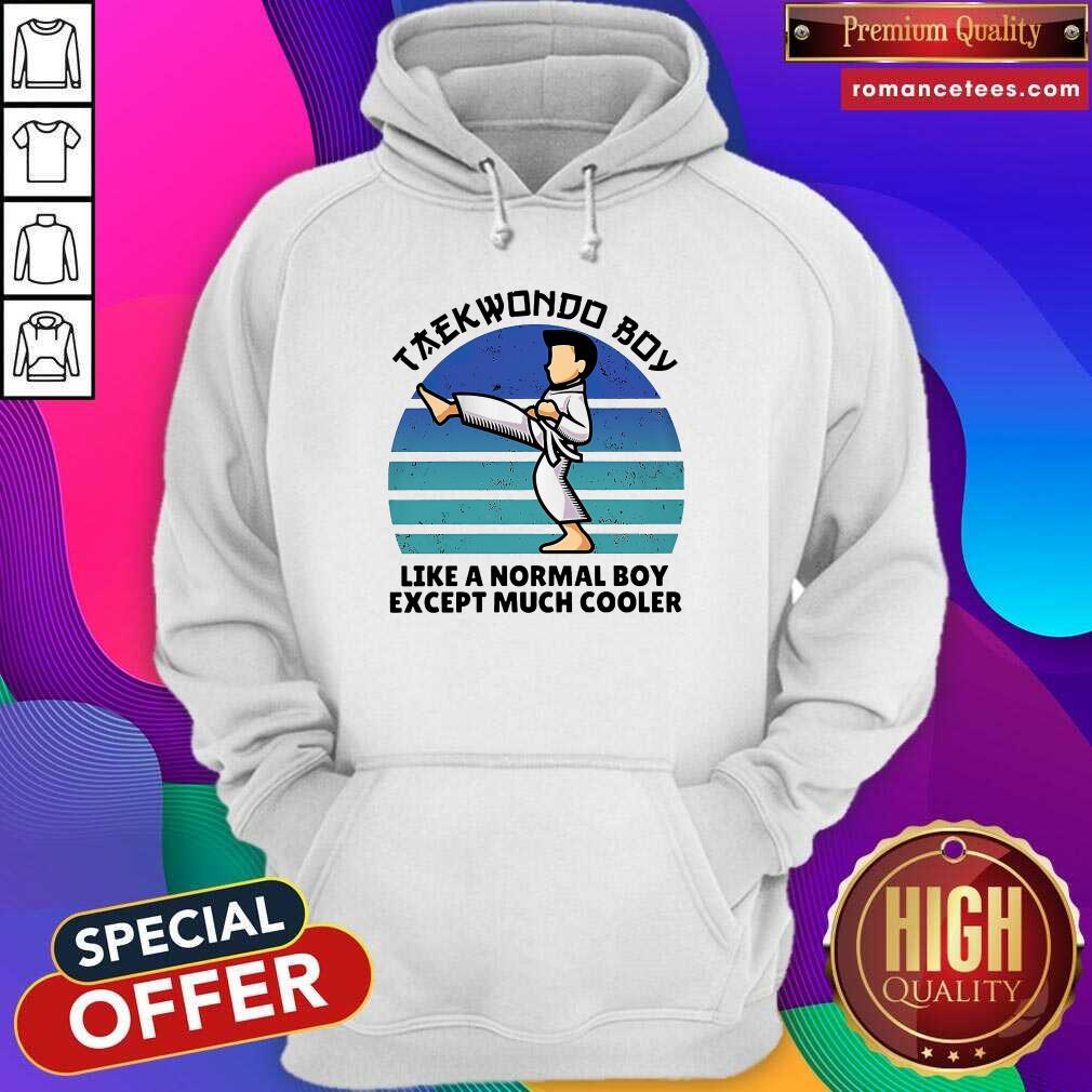 Premium Vintage Taekwondo Boy Like A Normal Boy Except Much Cooler Shirt