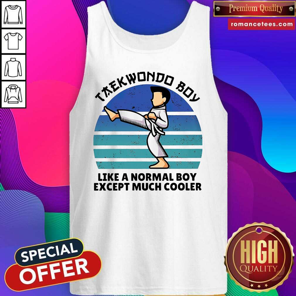 Premium Vintage Taekwondo Boy Like A Normal Boy Except Much Cooler Shirt