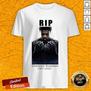 Rest In Peace Chadwick Boseman Rip 1977-2020 Legend Shirt