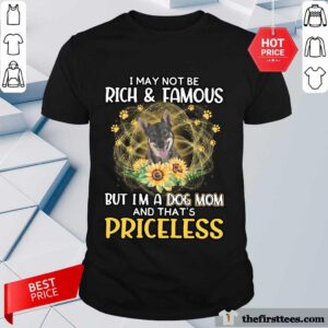 Perfect Swedish Vallhund I May Not Be Rich And Famous But I Am A Dog Mom And That Is Priceless Shirt