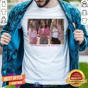 Pretty Mean Girls On Wednesdays We Wear Pink Shirt