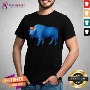 Funny Vintage Buffalo Bills Shirt