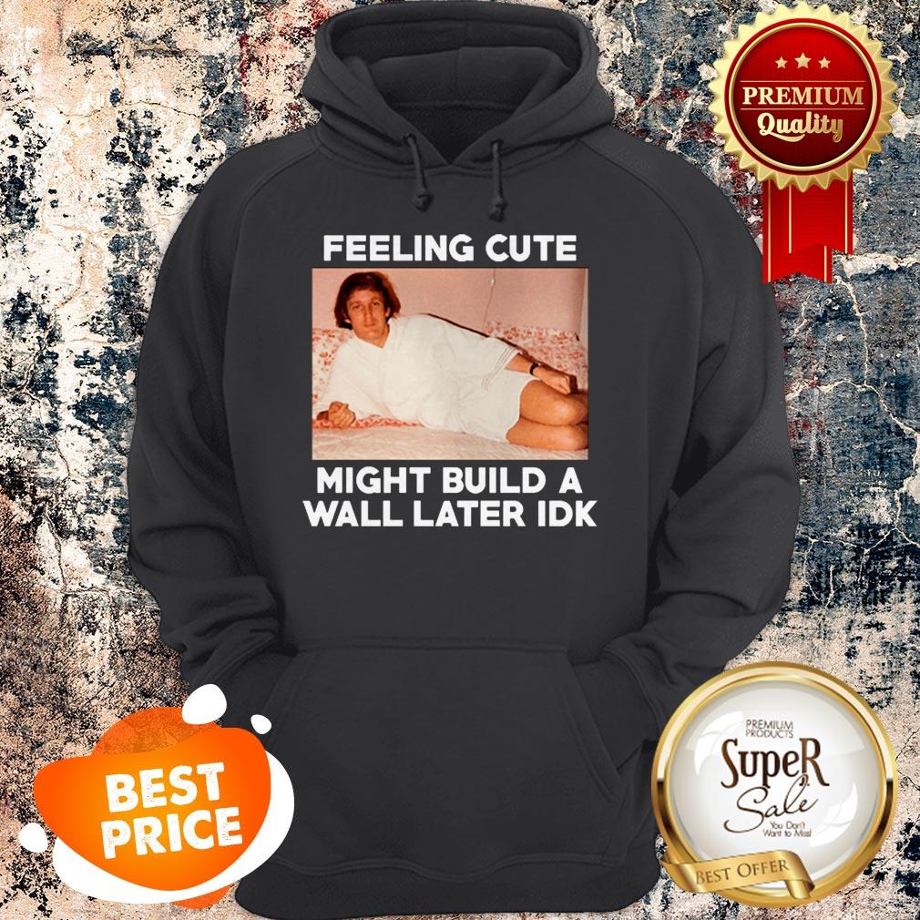 Nice Feeling Cute Might Build A Wall Later Idk Trump Shirt