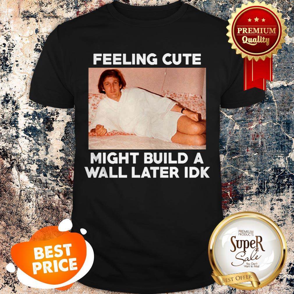 Nice Feeling Cute Might Build A Wall Later Idk Trump Shirt